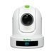 BirdDog P110 PTZ Camera 1080P with 10x Zoom, OLED screen