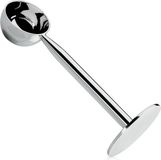 Cilio Maatlepel onderdeel & accessoire voor koffiemachine