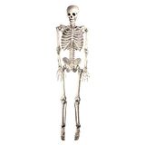 Bristol Novelty HI301 Skelet Hanging, Wit/Grijs, One Size