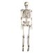 Bristol Novelty HI301 Skelet Hanging, Wit/Grijs, One Size