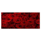 Homemania Muurfoto, bloemen, natuur, voor woonkamer, slaapkamer, meerkleurig, 70 x 3 x 100 cm, HM20KNV70 x 100 – 120, polyester, hout