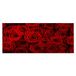 Homemania Muurfoto, bloemen, natuur, voor woonkamer, slaapkamer, meerkleurig, 70 x 3 x 100 cm, HM20KNV70 x 100 – 120, polyester, hout