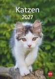 Katzen Heye Katzen Kalender 2027