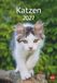 Katzen Heye Katzen Kalender 2027