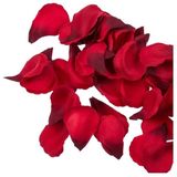 Merkloos / Sans marque Out Of The Blue Kg Rozenblaadjes - 800 stuks - Polyester - Rood