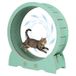 GarveeHome Groot indoor kattenoefenwiel van hout