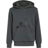 Adidas Sport Hoodie J Bl Ft Hd 280 - Kinderen - Grijs