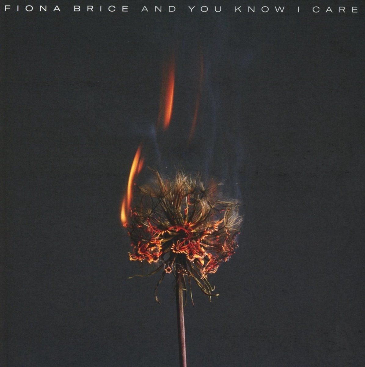 PIAS Nederland And You Know I Care (CD)