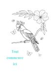 Tout Icecat Tout commence ici: Coloriage thérapeutique pour adultes
