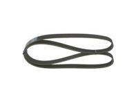 BOSCH Keilrippenriemen 1987946059