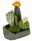Flair Flower Kunstcactussen in steen, 19 x 15 x 14 cm