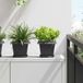 Maison Exclusive - Pot de fleurs, 6 pièces, noir, plastique