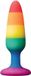 Colourful Dream Toys - Colourful Love anaalplug regenboog Small - Zwart