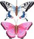 Anna's Collection Coen Bakker Deco B.V. Vlinders - 2x - metaal 48 x 30 cm - blauw/roze