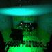 Couch Flesh Produce Couch Slime 1V (LP)