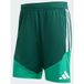 ADIDAS PERFORMANCE Sportbroek 'Algerien 26' groen / donkergroen / rood / wit