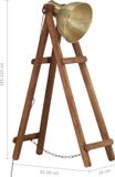 vidaXL Vloerlamp E27 massief mangohout messingkleurig