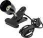 Eurolite Lampe à pince - Spot (GU10) - Noir