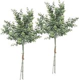 Atmosphera kunstplant 2 boeketten eucalyptus groen 64 cm