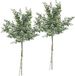 Atmosphera kunstplant 2 boeketten eucalyptus groen 64 cm