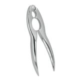 Metaltex Tomado Casse-noix - Argent