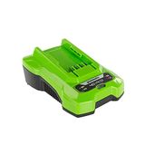 Greenworks Greenworks acculader G40C (Li-Ion 40V 2A 60 min. oplaadtijd bij 2Ah geschikt voor alle accu's van de 40V serie)