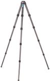 Leofoto Ranger LS-365C Tripod