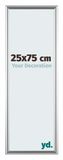 Your Decoration Cadre photo 25x75 cm Plastique Argent Bordeaux