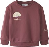 NAME IT - NMFNORINNI LS NREG SWEAT BRU BOX - Meisjes - Sweaters - Maat 98 - Katoen/Elastaan - Wild Ginger