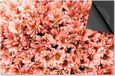 Dietrix Inductie Beschermer - Flowers 3 - 81x52cm