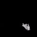 Domino Records Bob Moses Days Gone By