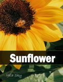 Sunflower: A Stunning Coffee Table Collection of Flower Photography
