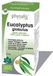 Physalis Eucalyptus Globulus Essentie 10 ml