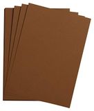 Clairefontaine 90765C Etival Color Tekenpapier - 25 Vellen Bruin A3 160g