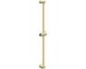IVY Glijstang 80 cm met Geïntegreerde Wateruitlaat - Geborsteld Mat Goud