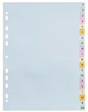 Exacompta Forever Alfabetische tabbladen A4 Kleurenassortiment 20 tabs Karton 11 Gaten 2621E