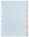 Exacompta Forever Alfabetische tabbladen A4 Kleurenassortiment 20 tabs Karton 11 Gaten 2621E