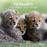 Tushita Baby Animals Kalender 2027
