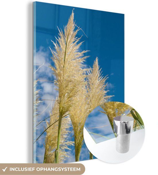 MuchoWow® Glass Painting 30x40 cm - Acrylic Glass Painting - Plants - Pampas Grass - Sky - Photo on Glass - Paintings