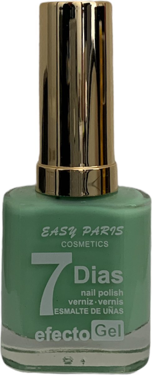 Easy Paris Cosmetics Easy Paris - Nagellak - Pastel Groen/Licht Groen/Zacht Groen - 1 flesje met 13 ml inhoud - Nummer 133