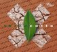 Terracotta - Terracotta (CD, 2005)