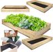 MODO24 Jardinière surélevée bois, bac à plantes, bois massif, pin, jardinière à herbes, bac à fleurs, jardin, terrasse, 27x203x117 cm, naturel, ZP06