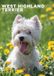 CalendarsRUs West Highland White Terrier A3 Kalender 2027 Wandkalender