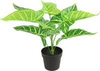 Countryfield Kunstplant Alocasia plant in bloempot - Groen - 15 x 32 cm