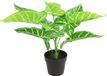 Countryfield Kunstplant Alocasia plant in bloempot - Groen - 15 x 32 cm