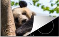 Merkloos KitchenYeah® Inductie beschermer 77x51 cm - Panda - Slapen - Inductiebeschermer