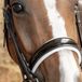 Harry's Horse Hoofdstel S&T Soft Rosegold Zwart Full