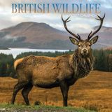 Magnet & Steel British Wildlife Kalender 2027 Wandkalender Dieren Engels