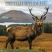 Magnet & Steel British Wildlife Kalender 2027 Wandkalender Dieren Engels