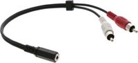 Kramer Electronics C-A35F/2RAM-1 - 3.5mm Male to 2x RCA Female Audio Cable - 0.3m - Black